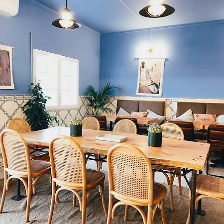 Malacuna Peniche فيريل